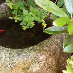 Hibi Kitano